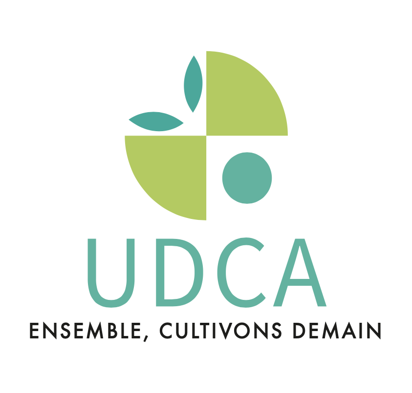 UDCA